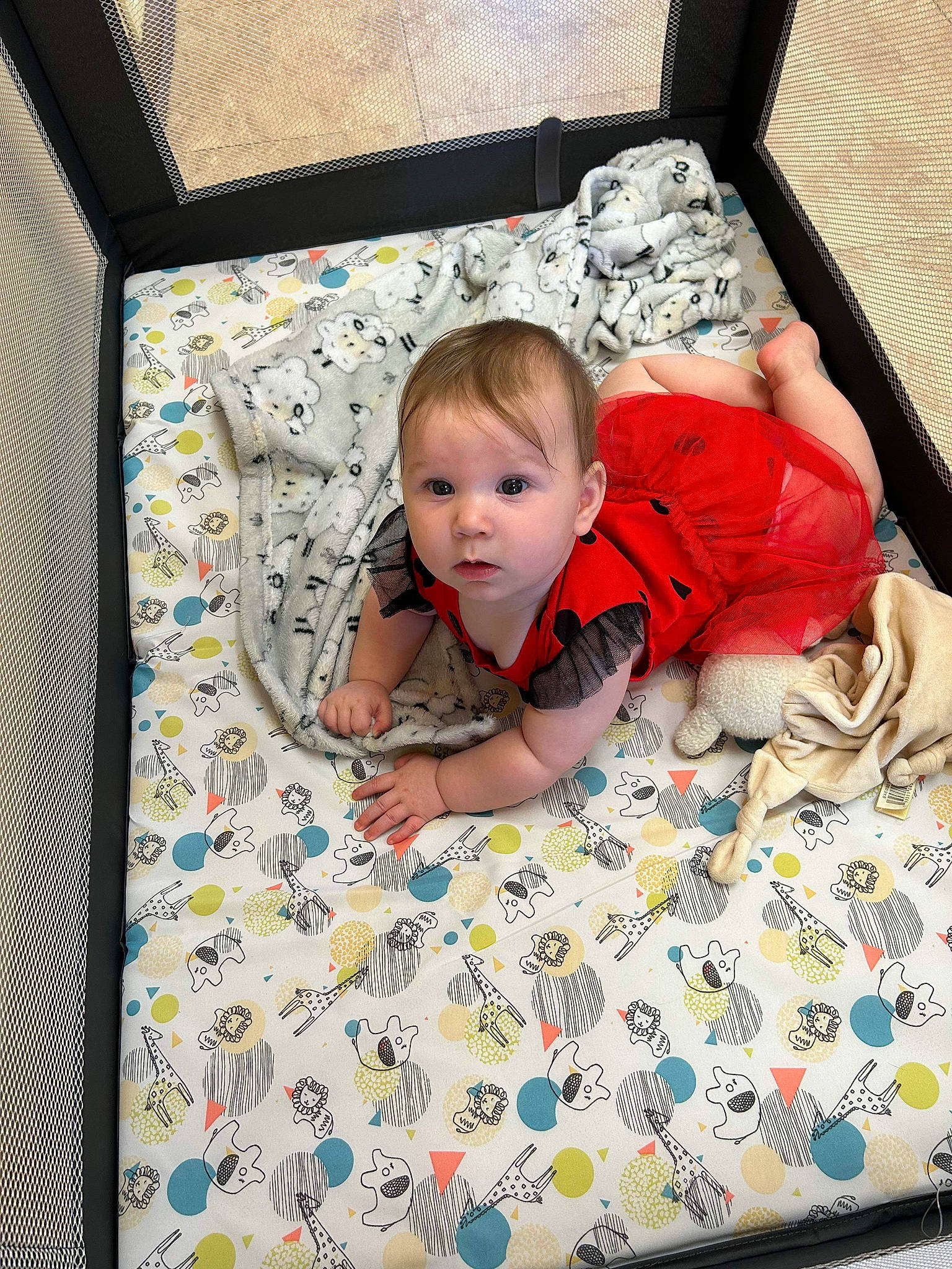 Evelynn is registered to the contest to win money with this photo: baby, baby_products, baby_safety, baby_toddler_clothing, bed, bedding, bedtime, child, comfort, electronic_device, floor, flooring, linens, pattern, person, product, room, sitting, t_shirt, textile