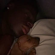Fergus is registered to the contest to win money with this photo: person, dog, sleeping, pillow, bed, dark, cozy, closeup, rest, cute, animal, indoor, pet, companion, calm, quiet, intimate, relaxation, snuggle, friendship