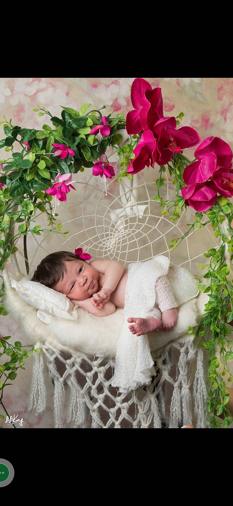 Alba a rejoint le concours — aidez-le/la à gagner de superbes lots ! beauty, botany, bouquet, cut_flowers, flower, flower_arranging, flowering_plant, grass, happy, herbaceous_plant, hybrid_tea_rose, magenta, person, petal, photograph, pink, plant, rose, rose_family, shrub