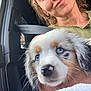 Alias participe au concours pour gagner de l'argent avec cette photo : puppy, dog, person, blue_eyes, car_interior, seatbelt, green_top, fluffy_fur, closeup, portrait, cute, animal, pet, young_dog, human, smile, window, natural_light, car_seat, holding