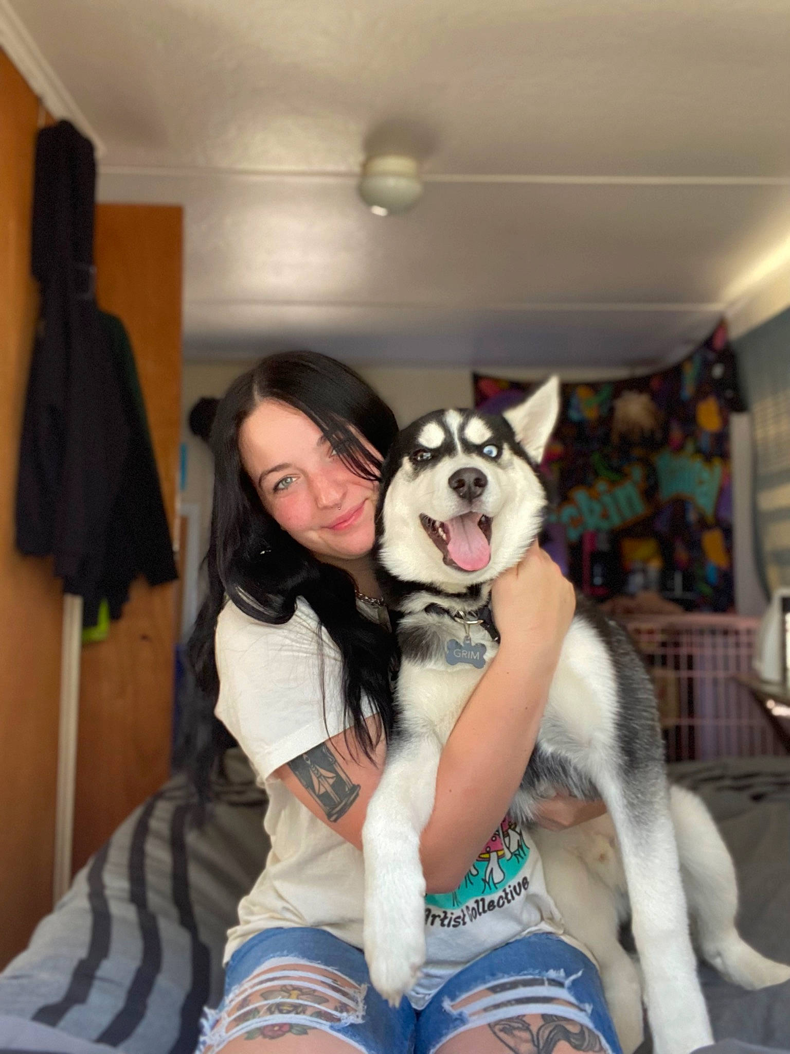 Grim joined the competition — help win amazing prizes! black_hair, canidae, carnivore, companion_dog, couch, dog, dog_breed, fawn, fun, fur, happy, human_leg, leisure, siberian_husky, sitting, sled_dog, sporting_group, thigh, vacation, working_dog