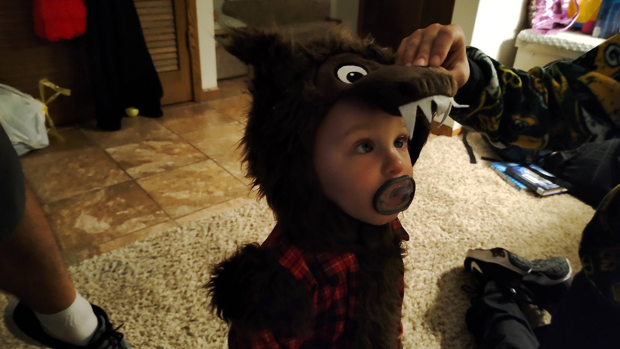 Evan joined the competition — help win amazing prizes! beanie, cap, child, costume, ear, event, fashion_accessory, flooring, fun, fur, fur_clothing, hat, luggage_and_bags, person, personal_protective_equipment, plush, selfie, stuffed_toy, toddler, toy