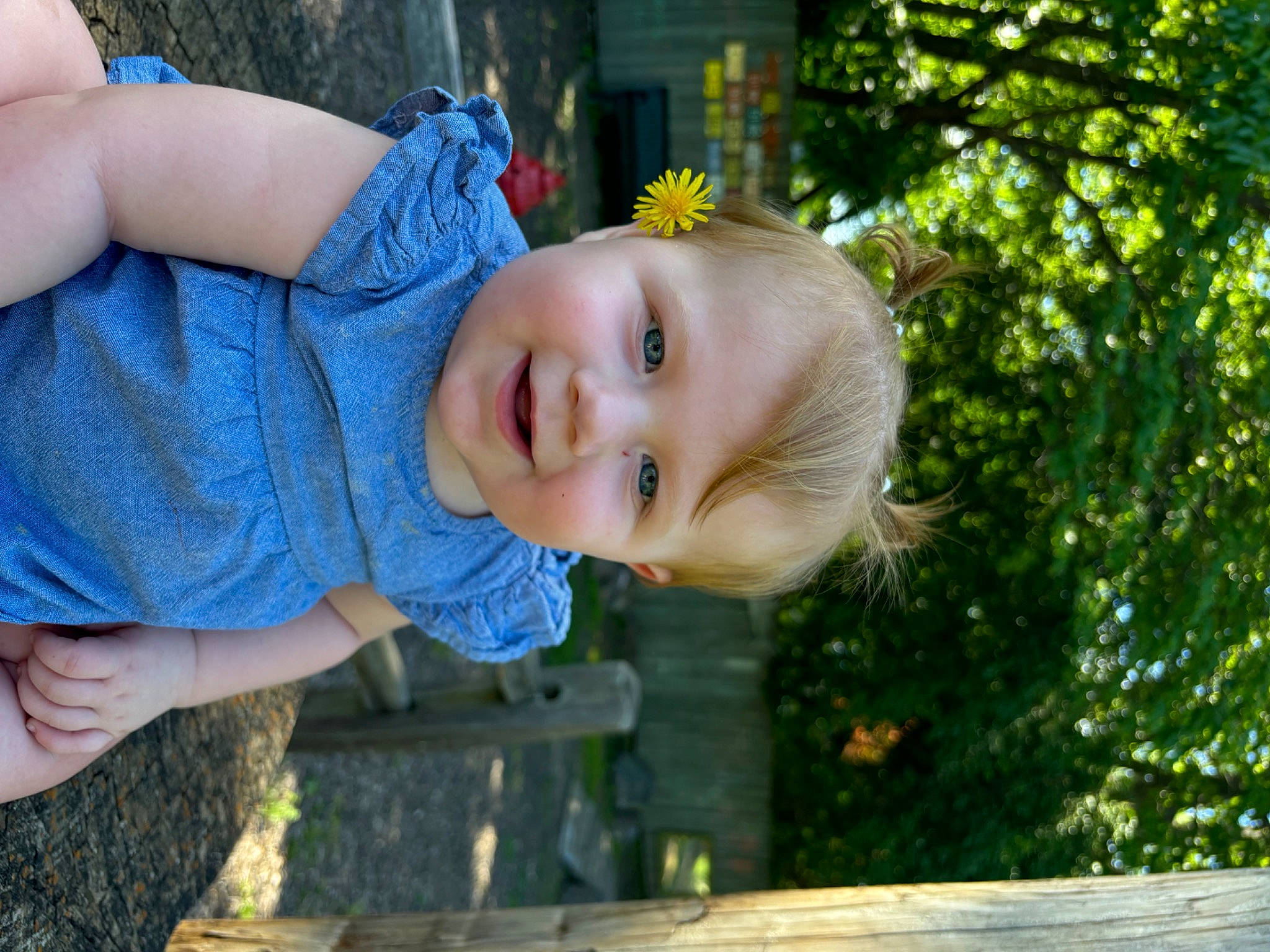 Amelia is registered to the contest to win money with this photo: baby_toddler_clothing, blond, child, child_model, electric_blue, eye, fun, grass, happy, joy, leisure, people_in_nature, person, plant, portrait_photography, sitting, smile, t_shirt, toddler, tree