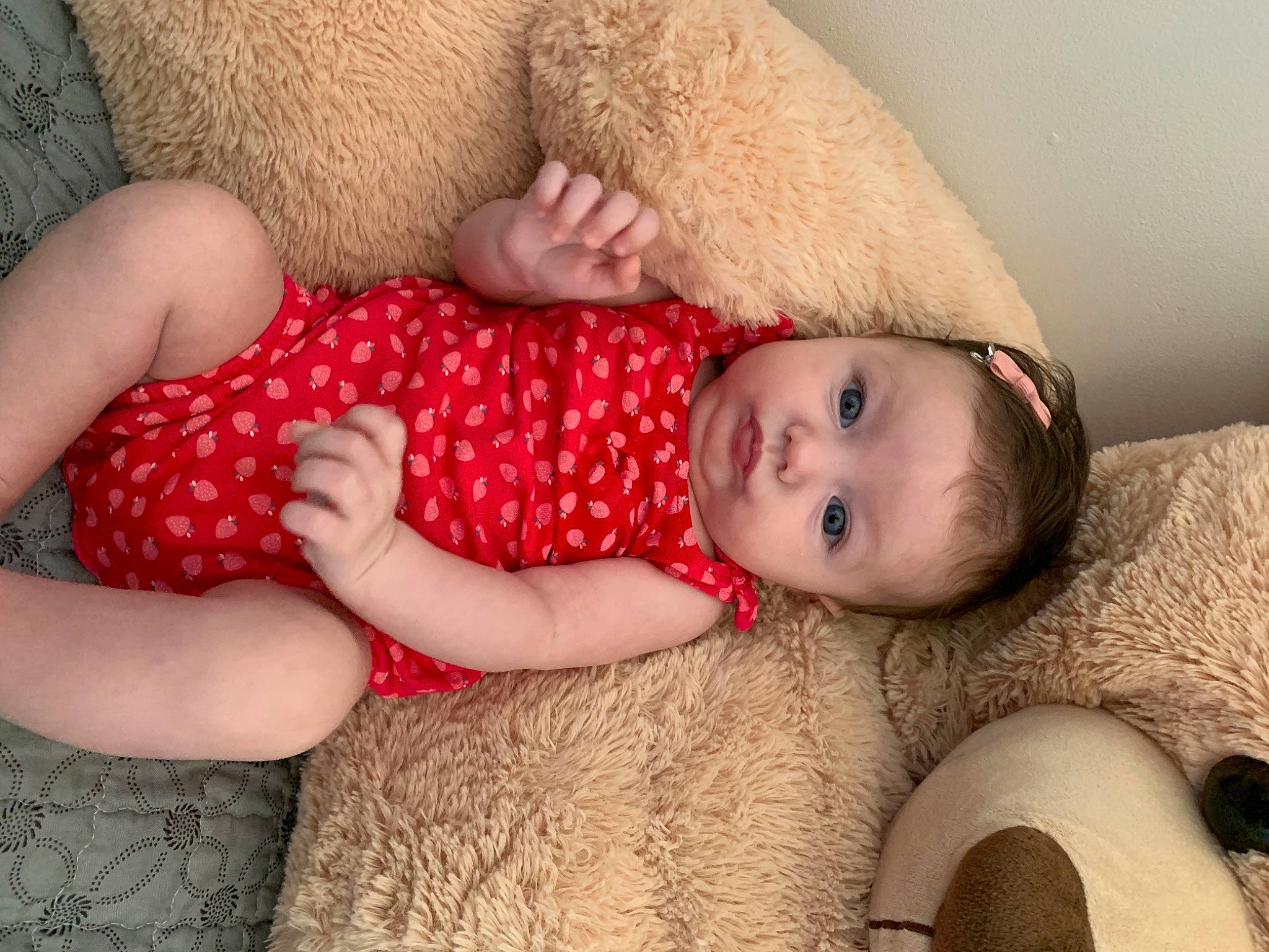 Alya participe au concours pour gagner de l'argent avec cette photo : arm, baby, baby_toddler_clothing, child, comfort, couch, eye, fawn, finger, hand, human_body, leg, lip, nail, pattern, person, skin, thigh, toddler, trunk