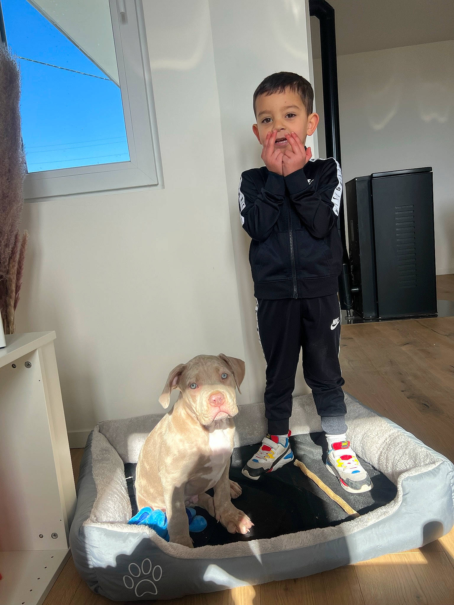 Housni a rejoint le concours — aidez-le/la à gagner de superbes lots ! baby, bag, baggage, box, child, comfort, companion_dog, dog_breed, flooring, fun, fur, knee, luggage_and_bags, person, room, sitting, stuffed_toy, t_shirt, teddy_bear, toddler