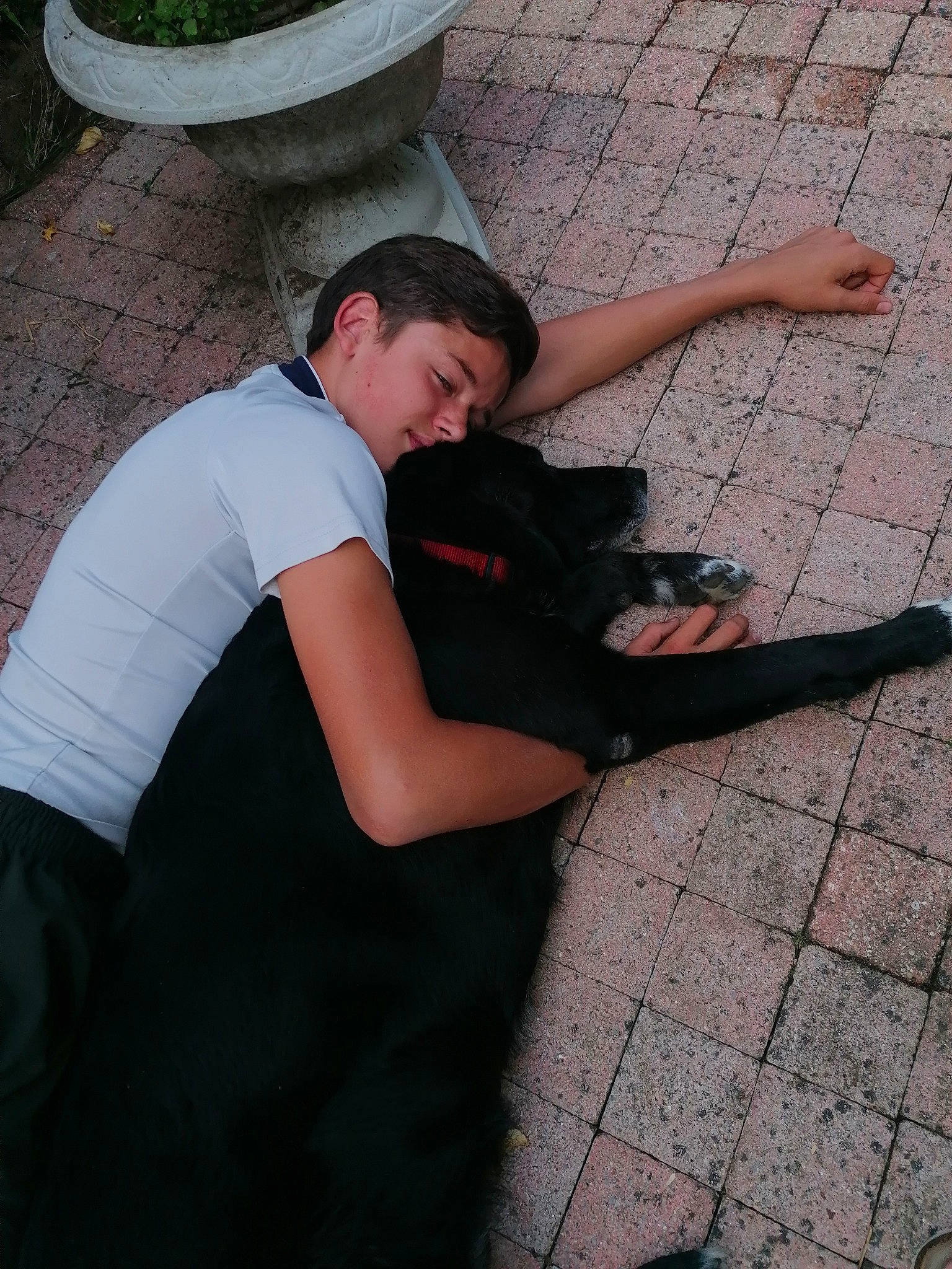 Gimli participe au concours pour gagner de l'argent avec cette photo : asphalt, baseball_cap, cobblestone, concrete, elbow, flooring, flowerpot, fun, gesture, grass, hat, houseplant, human_leg, knee, plant, road_surface, sidewalk, sitting, soil, t_shirt