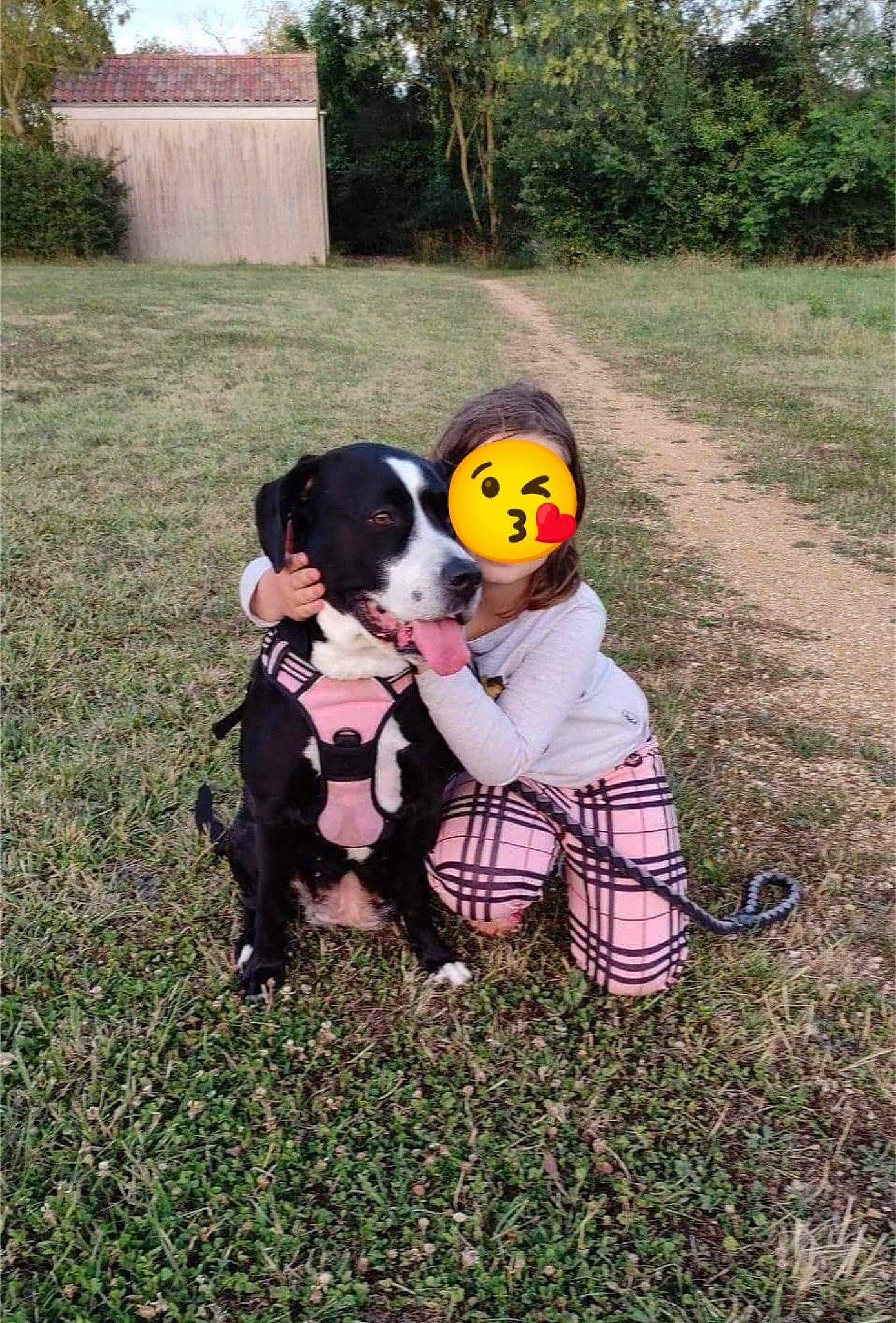 Lara participe au concours pour gagner de l'argent avec cette photo : ball, canidae, carnivore, companion_dog, dog, dog_breed, dog_supply, football, fun, grass, hunting_dog, non_sporting_group, personal_protective_equipment, plant, sporting_group, tail, tree, working_animal, working_dog, yard