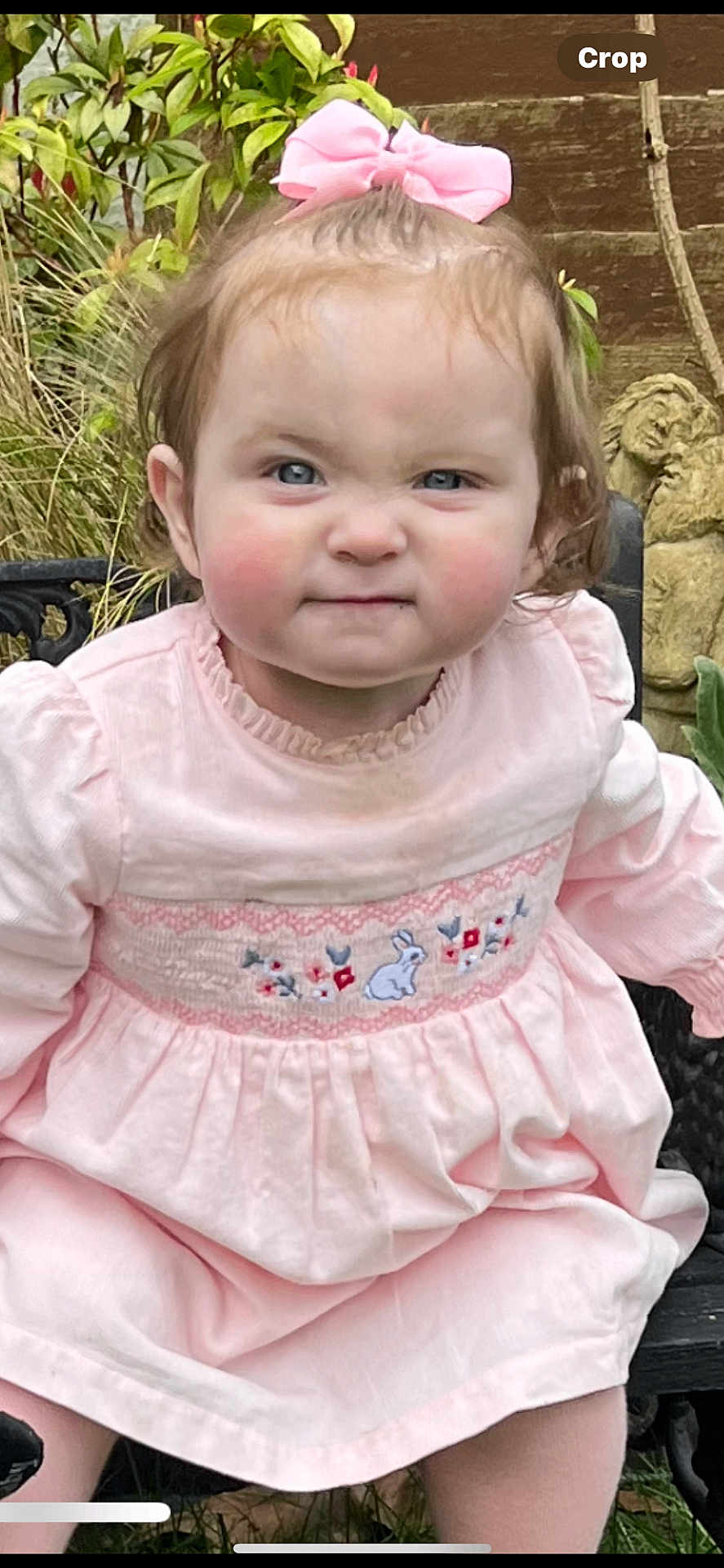 Lily Rose joined the competition — help win amazing prizes! toddler, child, pink_dress, bow, outdoor, garden, bench, greenery, face, expression, cute, person, portrait, young_child, grass, plants, nature, baby, clothing, sitting