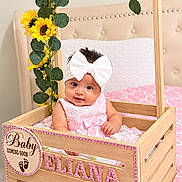 Eliana joined the competition — help win amazing prizes! baby, baby_announcement, bed, bedroom, child, decorated_crate, flowers, greenery, indoors, infant, nursery, photography, pink_bedding, pink_dress, portrait, sitting, smiling, sunflowers, white_bow, wooden_crate