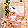 baby, baby_announcement, bed, bedroom, child, decorated_crate, flowers, greenery, indoors, infant, nursery, photography, pink_bedding, pink_dress, portrait, sitting, smiling, sunflowers, white_bow, wooden_crate