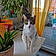 Pepper