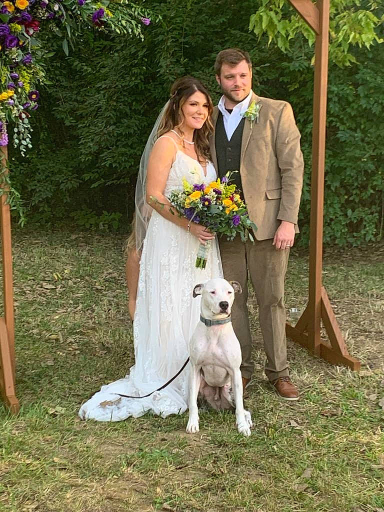 Marv joined the competition — help win amazing prizes! backyard, bridal_clothing, bride, canidae, carnivore, ceremony, dog, dog_breed, dress, fawn, formal_wear, gown, groom, male, marriage, photograph, wedding, wedding_dress, woodland