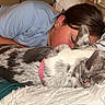 Sugar joined the competition — help win amazing prizes! animal, bed, blanket, casual, closeup, collar, comfort, companion, cozy, dog, fur, human, indoor, person, pet, pillow, quiet, relaxation, resting, sleeping