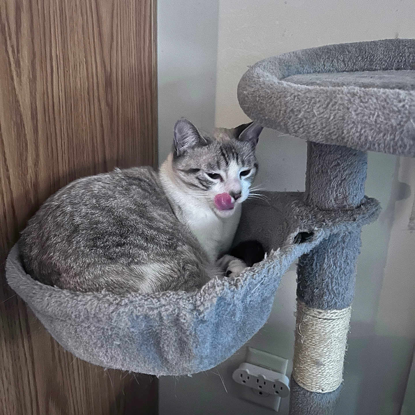 Pepper
