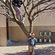Joseph is registered to the contest to win money with this photo: adventure, bare_branches, boy, casual_clothing, children, climbing, courtyard, girl, gravel, house, outdoor, peace_sign, playful, portrait, posing, siblings, smiling, sunlight, tree, winter
