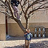 adventure, bare_branches, boy, casual_clothing, children, climbing, courtyard, girl, gravel, house, outdoor, peace_sign, playful, portrait, posing, siblings, smiling, sunlight, tree, winter