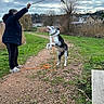 dog, person, jumping, stick, path, grass, cloudy_sky, rural, trees, leash, playing, outdoor, nature, house, bench, field, fence, winter, exercise, animal