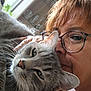 Snoopy participe au concours pour gagner de l'argent avec cette photo : cat, person, glasses, indoor, table, window, cabinet, glassware, grey_cat, face, whiskers, hair, closeup, snuggling, furniture, natural_light, eyewear, skin, relaxed, pet