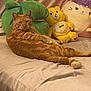 cat, orange_tabby, bed, plush_toy, green_pillow, yellow_bear, stuffed_animal, purple_pillow, relaxed, indoor, feline, pet, cozy, soft_toys, fabric, resting, looking_at_camera, home, cute, animal