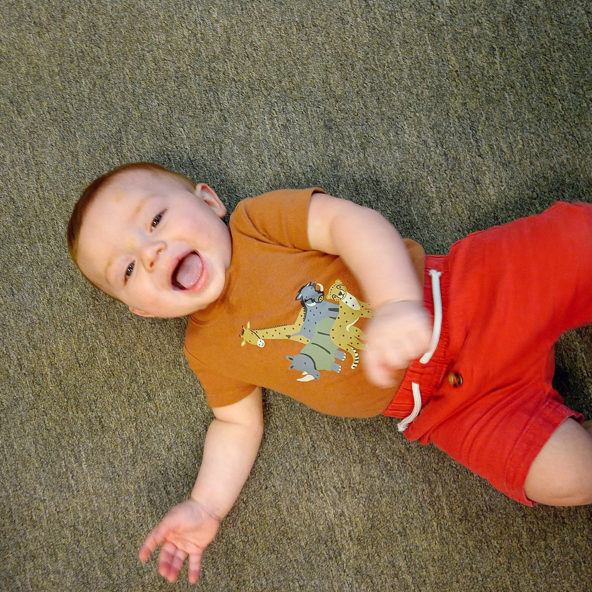 Levi joined the competition — help win amazing prizes! baby, baby_toddler_clothing, cheek, eye, face, finger, floor, flooring, fun, grass, head, human_body, joint, leg, nose, person, skin, sleeve, thumb, toddler