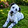 Balko