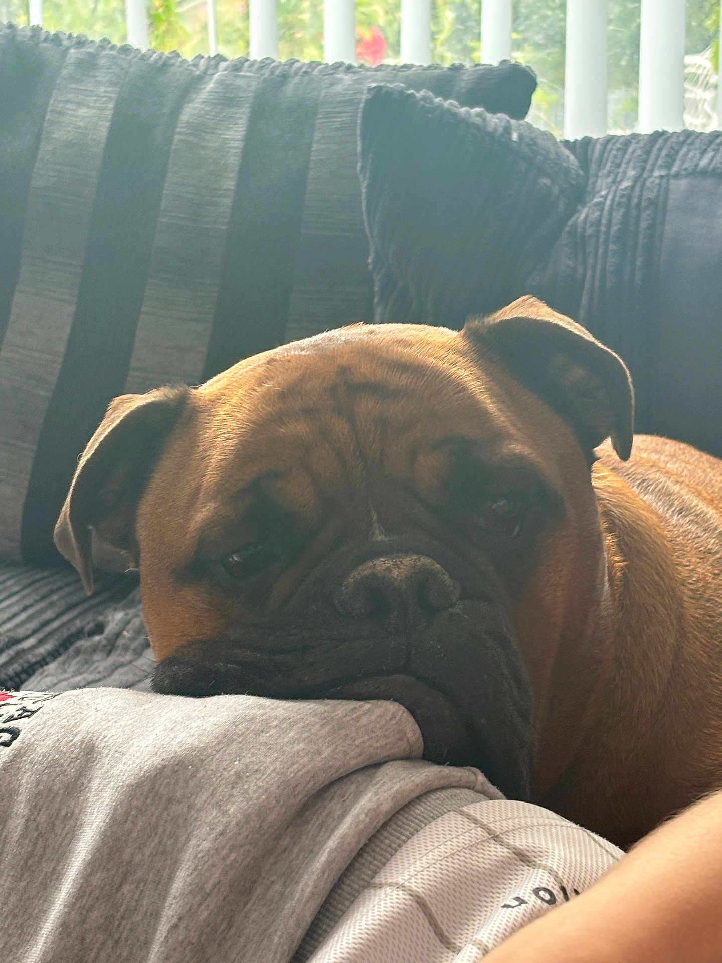 Winston Milo