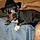 Lilman