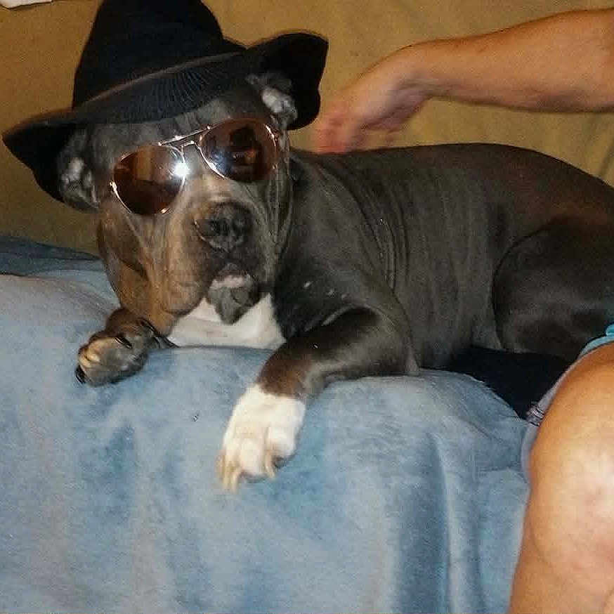 Lilman