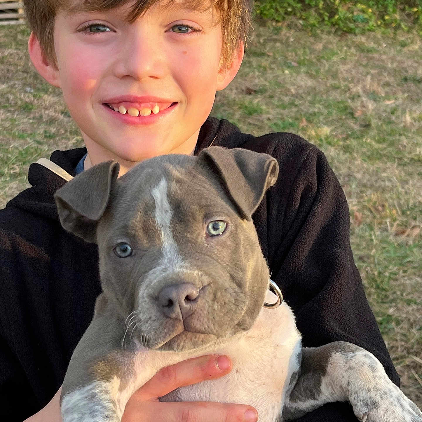 Chibbs joined the competition — help win amazing prizes! animal, boy, casual_clothing, child, cute, daylight, dog, face, friendship, grass, happy, holding, nature, outdoor, pet, portrait, puppy, smile, sunlight, young