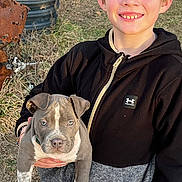 Chibs is registered to the contest to win money with this photo: animal, black_jacket, brown_dog, child, closeup, dog, dry_grass, grass, holding, hoodie, outdoor, pet, pit_bull_type, planter, portrait, puppy, rusty_metal, smiling, sunlight, zipper