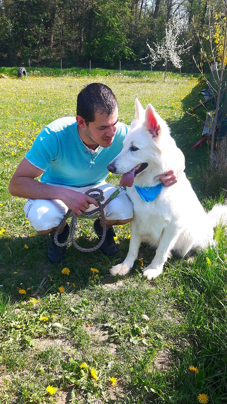 Haska participe au concours pour gagner de l'argent avec cette photo : canidae, carnivore, collar, companion_dog, dog, dog_breed, fawn, flower, fun, grass, grassland, happy, leisure, people_in_nature, plant, recreation, sporting_group, t_shirt, tree, working_animal