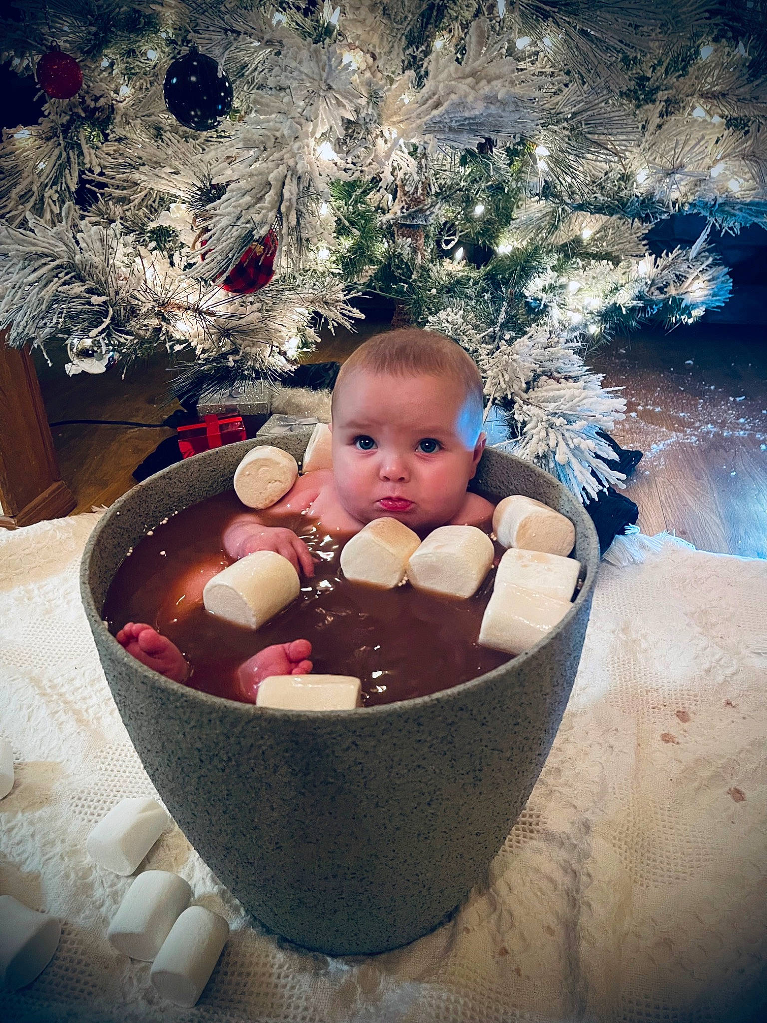 Brynleigh is registered to the contest to win money with this photo: baby, baby_products, baby_toddler_clothing, basket, bowl, child, christmas_tree, flash_photography, fun, happy, holiday, people_in_nature, person, plant, portrait_photography, sitting, still_life_photography, toddler