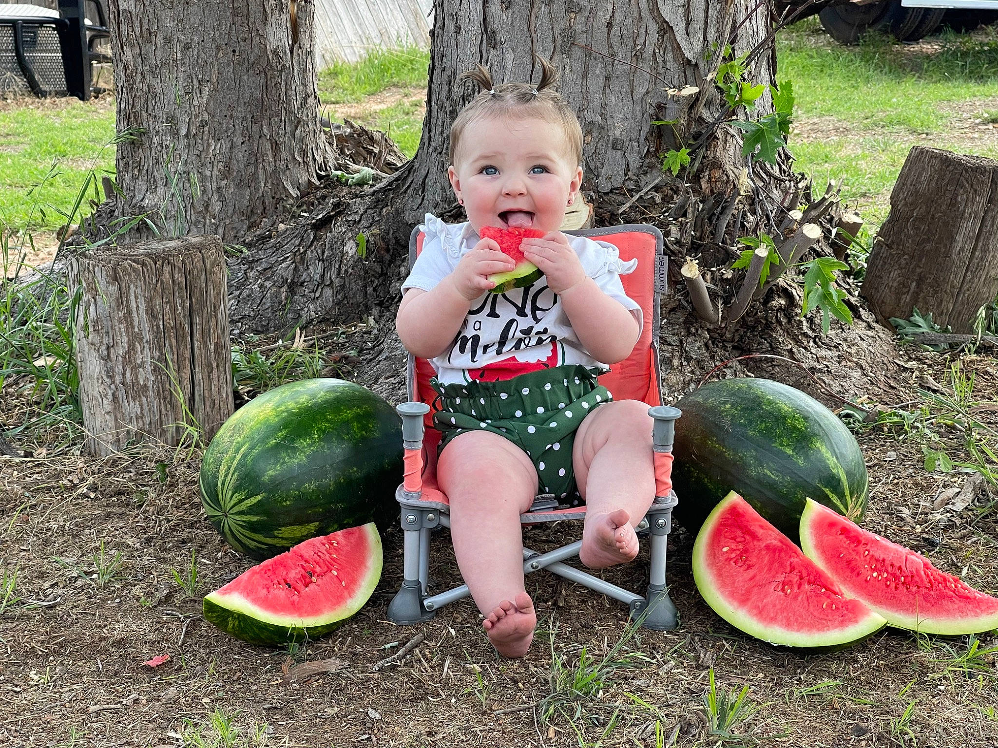 Brynleigh joined the competition — help win amazing prizes! adaptation, baby_toddler_clothing, citrullus, food, fruit, grass, green, happy, melon, natural_foods, people_in_nature, person, photograph, plant, produce, summer, terrestrial_plant, toddler, tree, watermelon