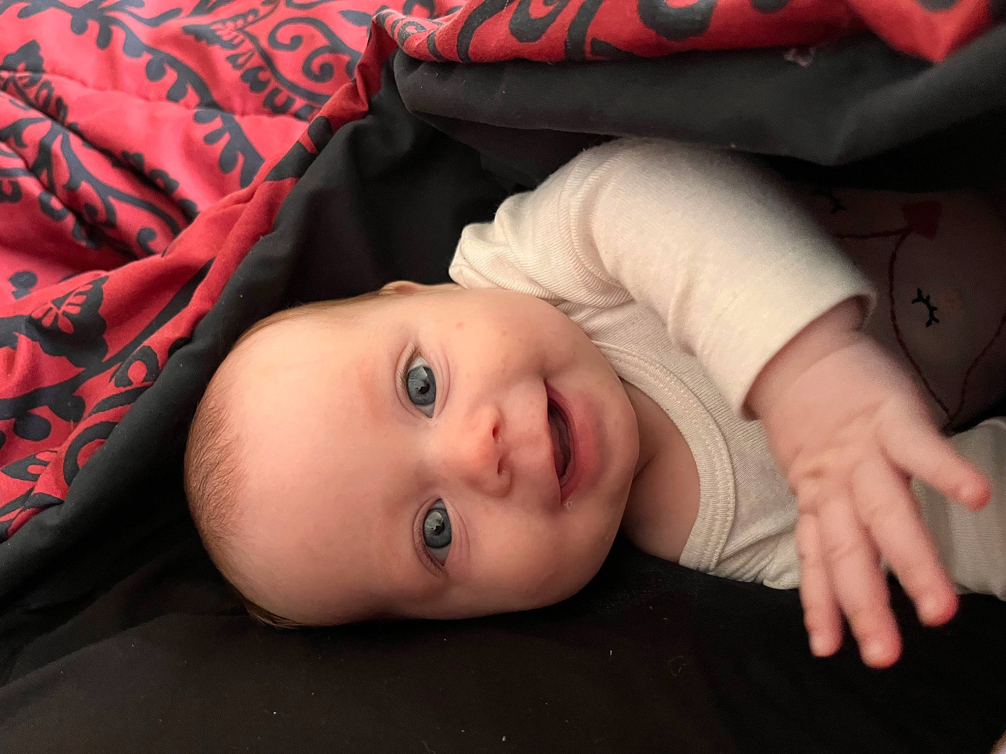 Emberlynn joined the competition — help win amazing prizes! baby, baby_toddler_clothing, cheek, child, comfort, flash_photography, fur, grass, happy, linens, lip, pattern, person, portrait_photography, sitting, skin, sleeve, smile, toddler, tree