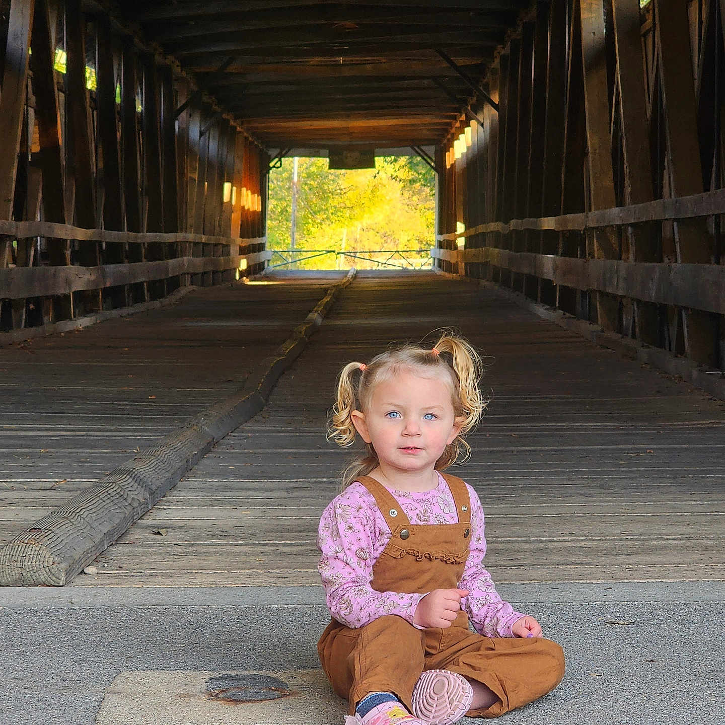 Finnleigh is registered to the contest to win money with this photo: child, girl, toddler, portrait, sitting, wooden_bridge, covered_bridge, outdoor, forest, sunlight, pigtails, pink_shirt, overalls, pink_shoes, road, wood, perspective, travel, photography, smiling