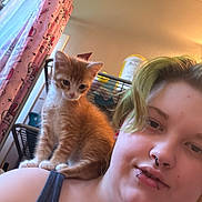 Clementine is registered to the contest to win money with this photo: close_up, cozy, curtain, facial_expression, green_hair, home, indoor, kitten, lip_piercing, looking_down, orange_cat, person, pet, piercings, portrait, selfie, septum, shelf, shoulder, tank_top