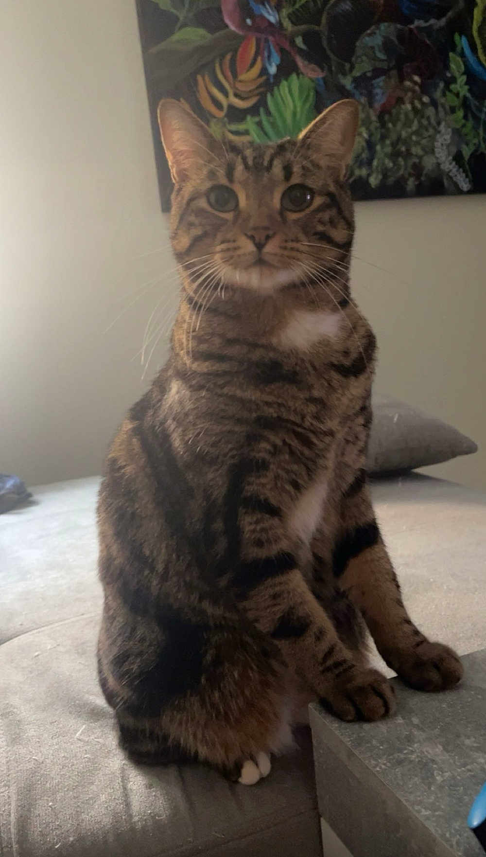 Titus