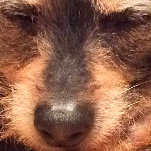 Delilah joined the competition — help win amazing prizes!