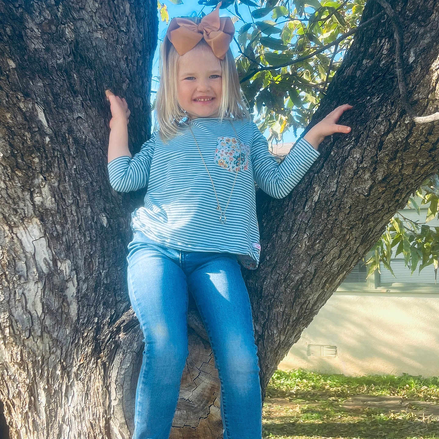 Olivia joined the competition — help win amazing prizes! child, clothing, face, female, girl, grass, grove, head, jeans, land, nature, outdoors, pants, person, photography, plant, portrait, tree, vegetation, woodland