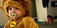 Dexter is registered to the contest to win money with this photo: baby, child, clothing, costume, couch, cute, expression, face, furry, home, indoor, lion_costume, living_room, pacifier, plush, portrait, seated, soft, toddler, young
