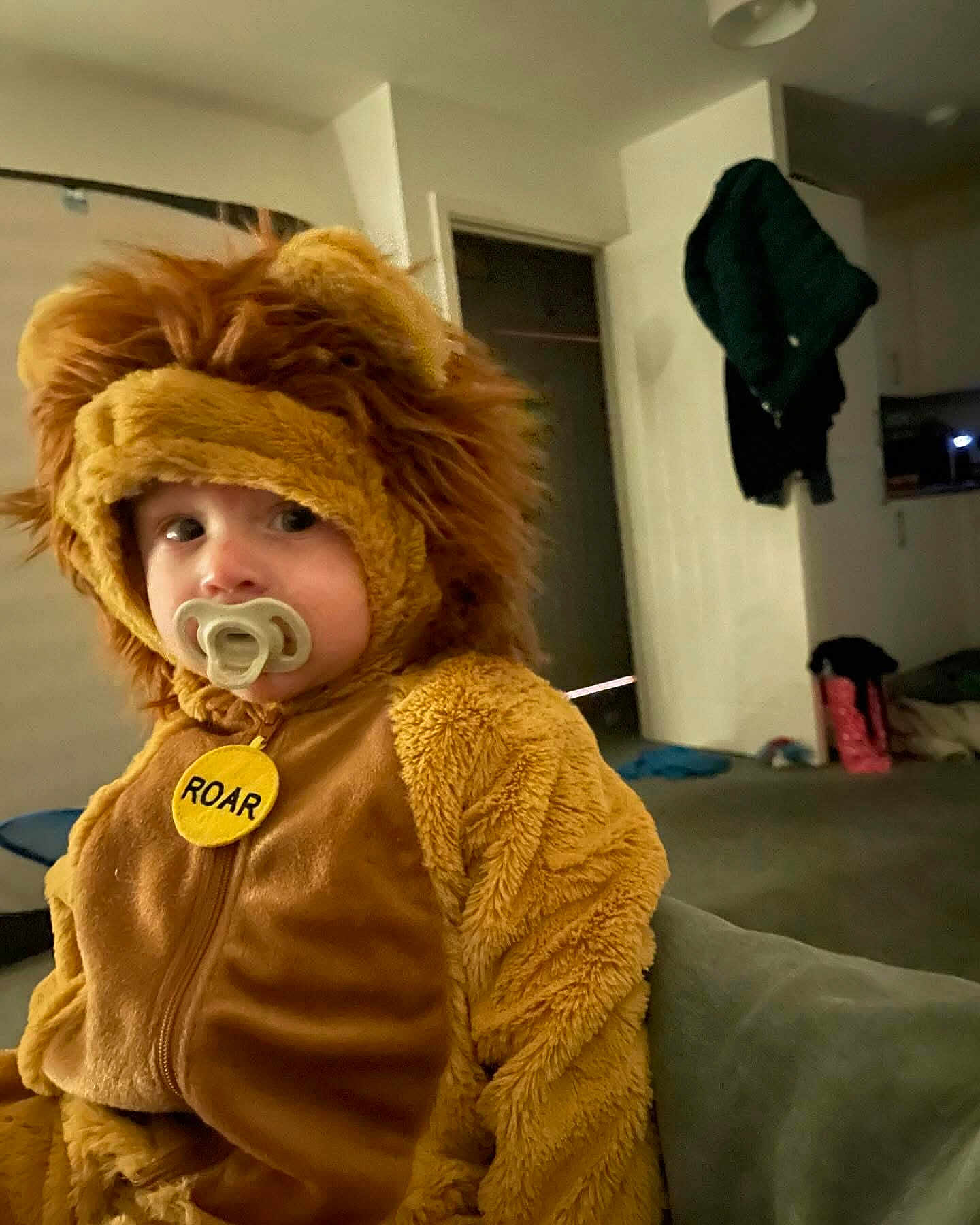 Dexter is registered to the contest to win money with this photo: toddler, child, lion_costume, pacifier, indoor, living_room, couch, furry, cute, costume, baby, soft, plush, portrait, face, expression, home, clothing, seated, young