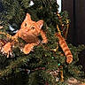 cat, orange_tabby, christmas_tree, holiday_decorations, tinsel, ornaments, indoor, curious, pet, feline, festive, greenery, paws, tail, tree_branches, holiday, cute, animal, decor, celebration