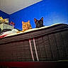 cat, orange_cat, black_cat, mattress, bedroom, indoor, blue_wall, pets, animals, feline, resting, looking, low_angle, home, cozy, fur, ears, whiskers, curious, two_cats