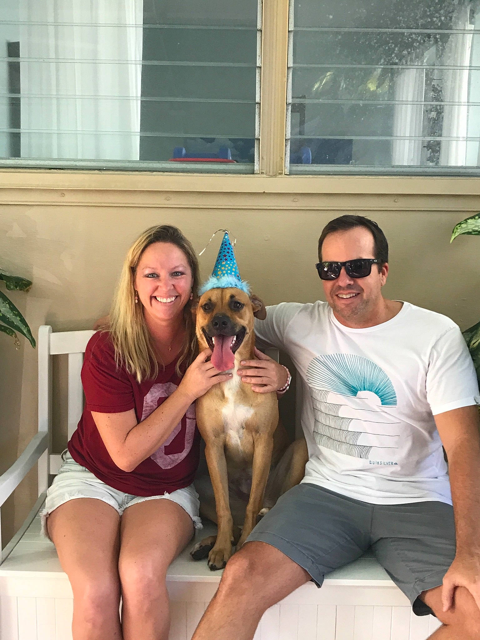 Ollie is registered to the contest to win money with this photo: canidae, carnivore, companion_dog, dog, dog_breed, fawn, fun, joy, leg, person, sitting, sporting_group, toy_dog, vacation