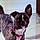 Nala Mcneely