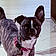 Nala Mcneely