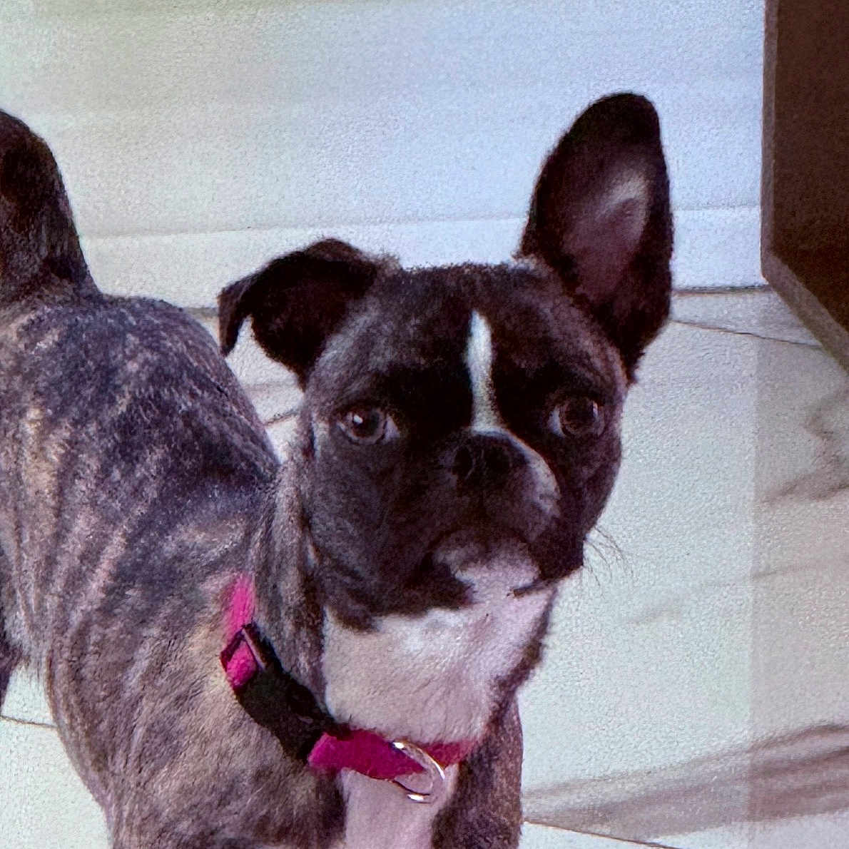 Nala Mcneely