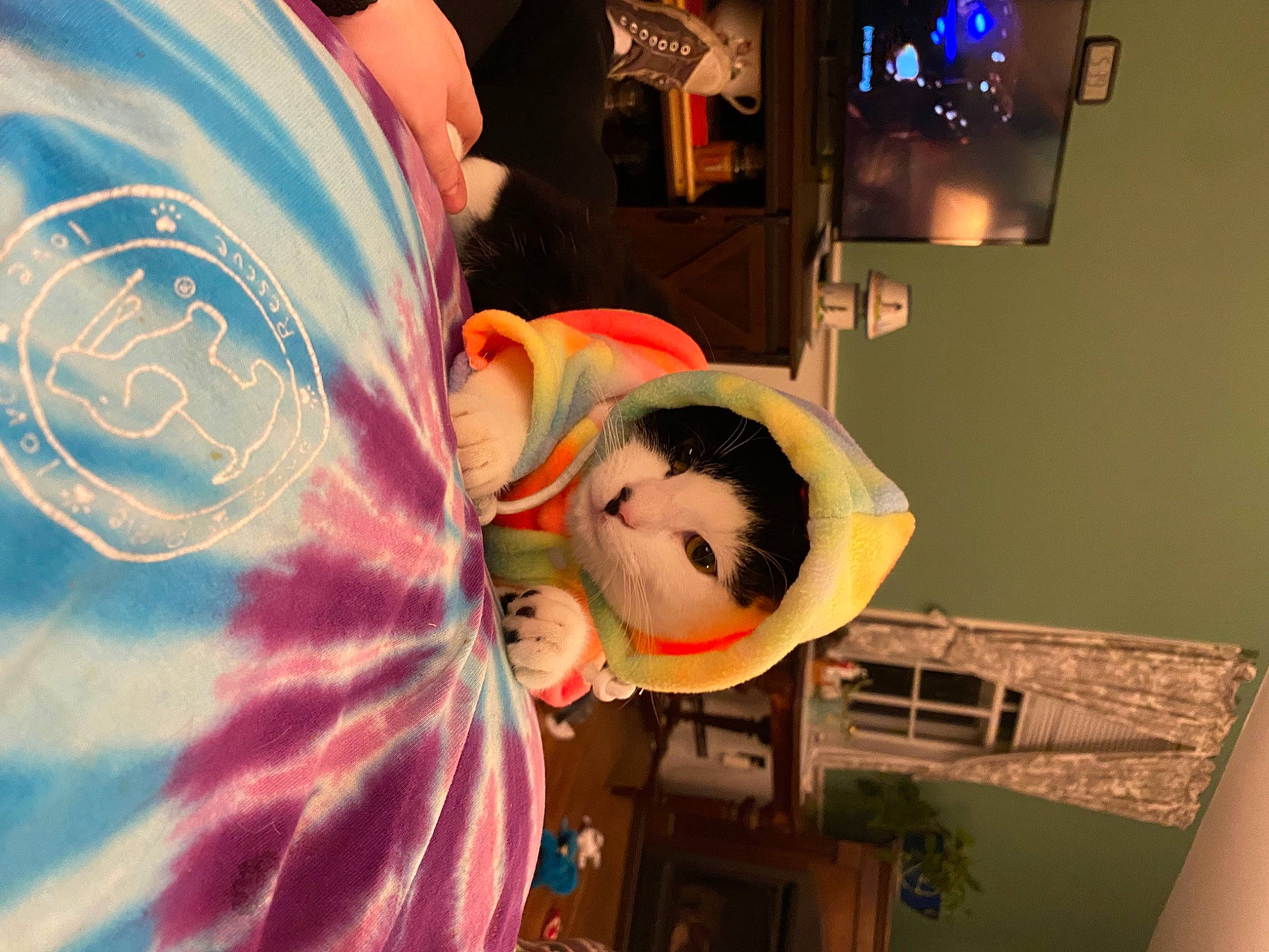 Rugby is registered to the contest to win money with this photo: art, child, costume, event, fun, happy, magenta, recreation, room, sleeve, t_shirt, toddler, visual_arts