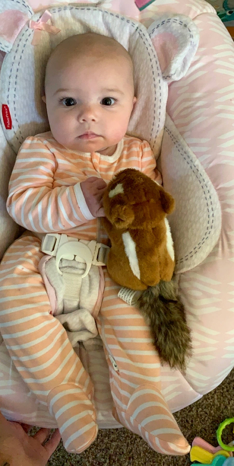 Kaisley is registered to the contest to win money with this photo: baby, child, person, skin, stuffed_toy, toddler, toy