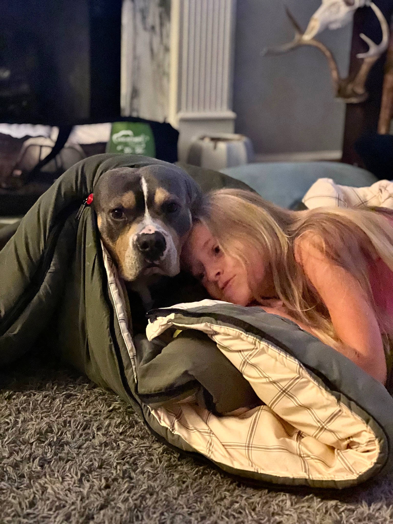 Bruce Wayne is registered to the contest to win money with this photo: auto_part, automotive_design, automotive_lighting, automotive_tire, automotive_wheel_system, ball, comfort, companion_dog, dog, dog_breed, eyewear, family_car, goggles, grass, mammal, rim, sitting, smile, sunglasses, vertebrate